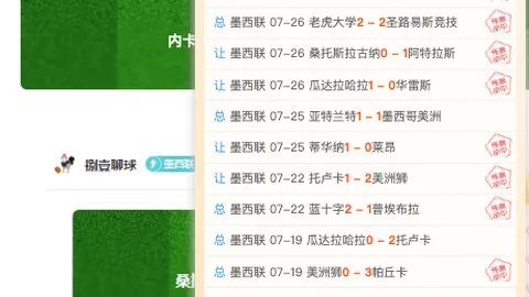 美加墨世界杯 113051